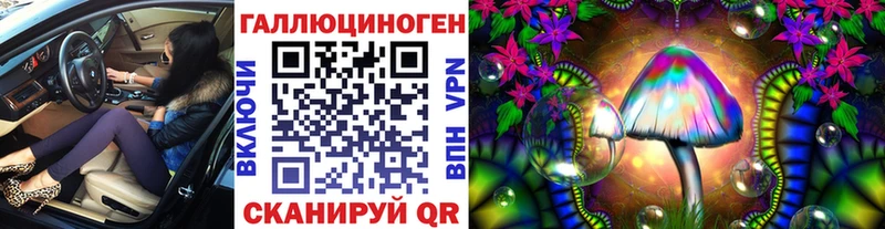 Купить где  Семилуки  Галлюциногенные грибы Cubensis 